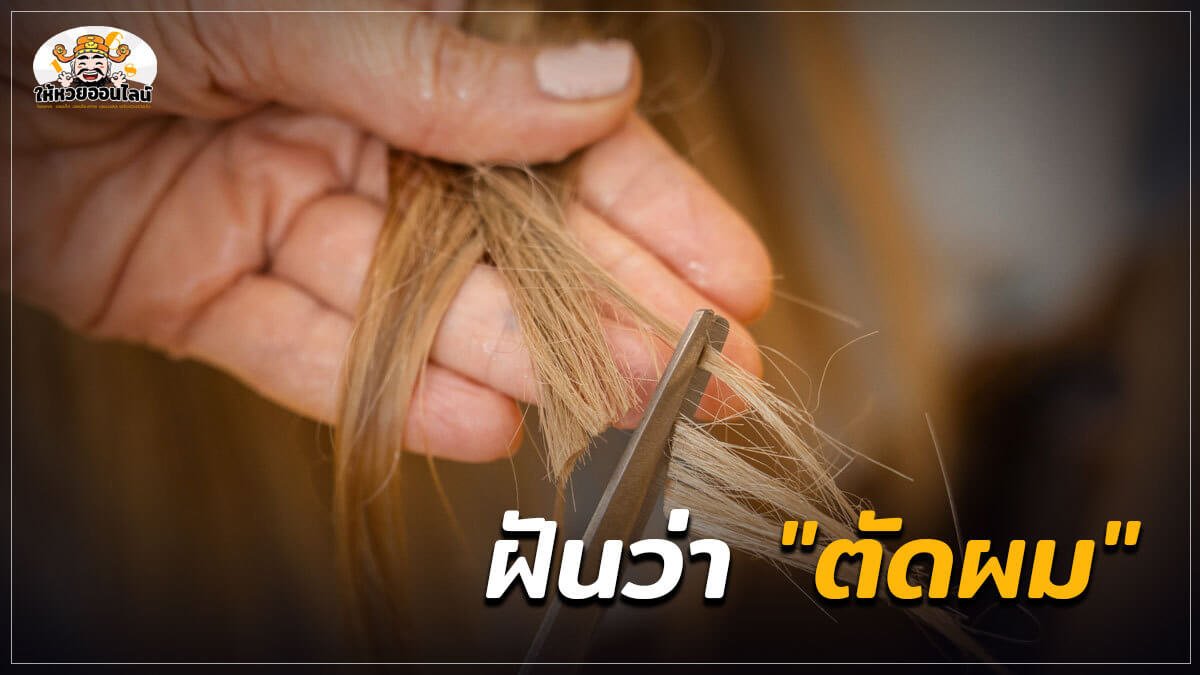 image-ฝันว่าตัดผม คำทำนายฝันเลขเด็ด