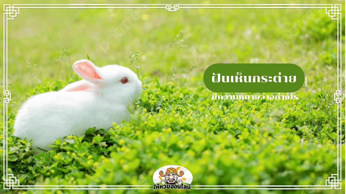 image-ฝันเห็นกระต่าย เปิดสัญญาณดวงความรัก การเงิน และโชคชะตา